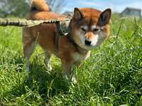 尾形あい『最近の不調の原因がわかりました。』