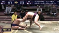 【映像】落下した力士が「まるでテディベア」