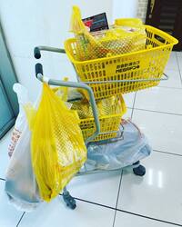 丸山桂里奈『やはり買い過ぎた』