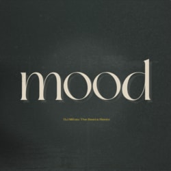 シンガー・AKIRAとDJ Mitsu The Beatsによるニューシングル『mood feat. Nosu (DJ Mitsu The Beats Remix)』がリリース。