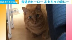 「なんやその重低音ｗｗ」鬼退治のヒーローと同じ名前のネコの“堂々とした鳴き声“に反響