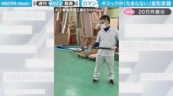 ワンタッチで“槍”→“鎌”へ！サイバーパンクな武器のギミックに「か、かっこいい…これ振り回したい」「可変武器はたまらん」と反響