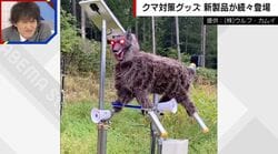 「音と光でクマが一目散」モンスターウルフが各地で400台稼働 クマ撃退の瞬間