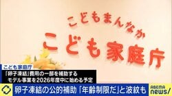 卵子凍結の公的助成“年齢制限”への波紋「35歳までに考えられる社会なのか」支援のあり方を考える
