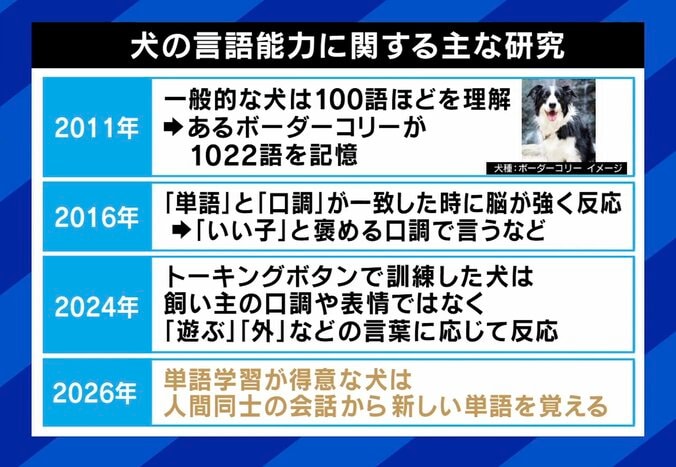 犬の言語能力に関する主な研究
