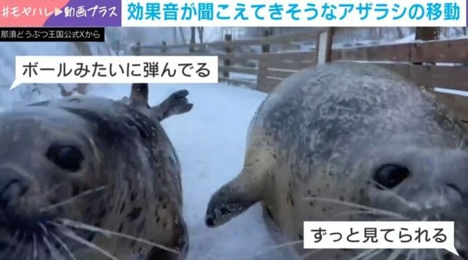 笑子ちゃんとみなとくん