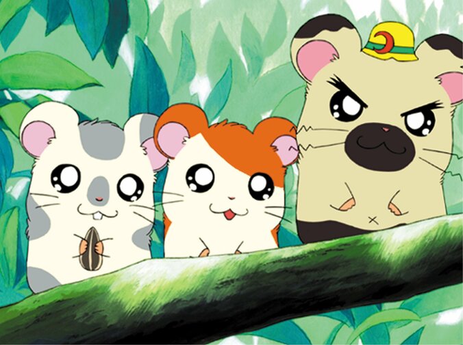 【写真・画像】『とっとこハム太郎』TVアニメ296話を毎日放送＆“独占先行”のOVA・劇場版も一挙公開に　2枚目