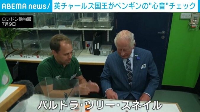 ロンドン動物園