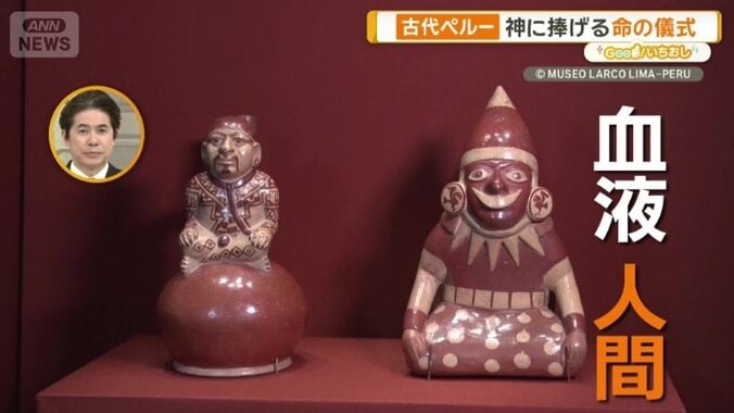 大好物は血液、人間