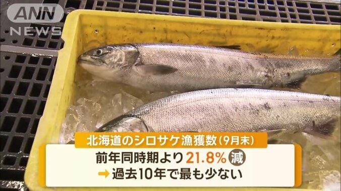 北海道のシロサケの漁獲量はこの10年で最低