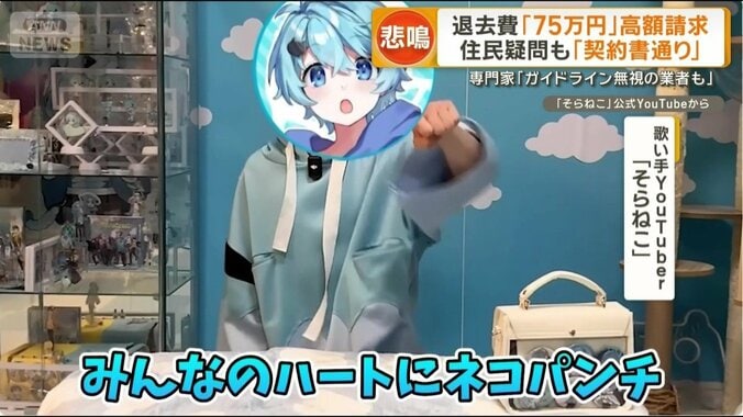 歌い手YouTuber「そらねこ」さん