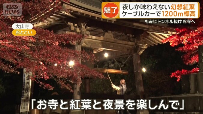 「お寺と紅葉と夜景を楽しんで」