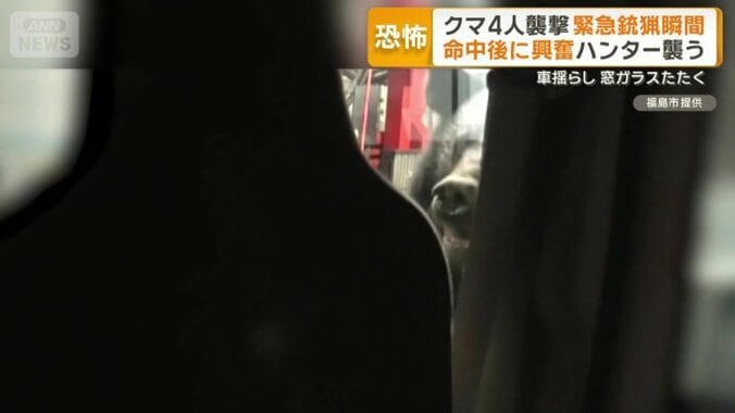 興奮したクマが襲う