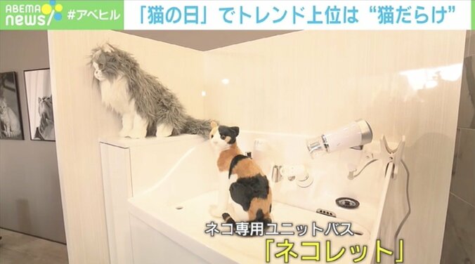 ドリカム中村正人「“猫大好き”って軽々しく言えない」家族の一員のために叶えた夢 3枚目