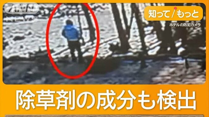 “富士山見えない”隣の樹木を勝手に伐採　中国人経営ホテルが依頼の男に罰金30万円 1枚目