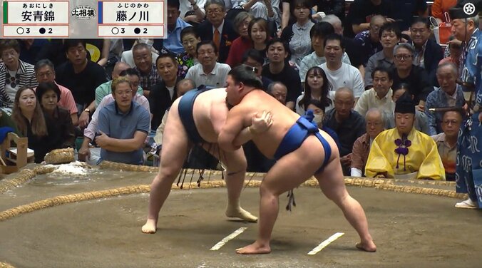 「マジかよ涙」安青錦、取組中の“異変”に心配の声 関脇・藤ノ川の猛攻に屈す 土俵下の姿に「これ以上は…」 2枚目