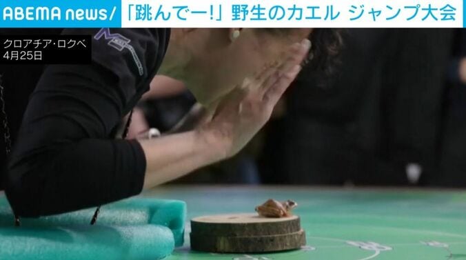 参加者とカエル