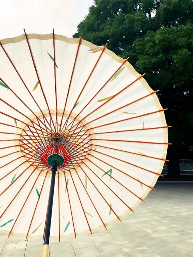 藤原紀香、一目惚れした日傘を公開「良い意味で目立ちますが  笑」 1枚目