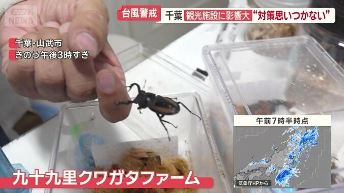 千葉県山武市