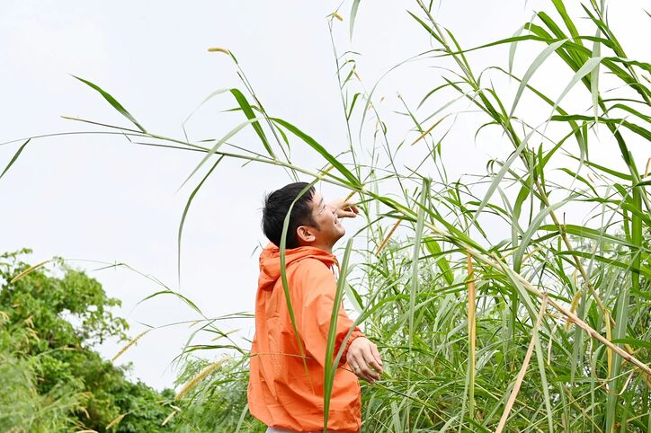 【写真・画像】　1枚目