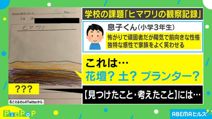 息子のヒマワリ観察記録に書かれた衝撃の内容！ 地層を表現した絵に「才能は開花してる」の声