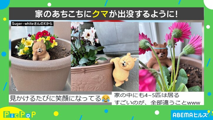 “ブサカワ”なクマ