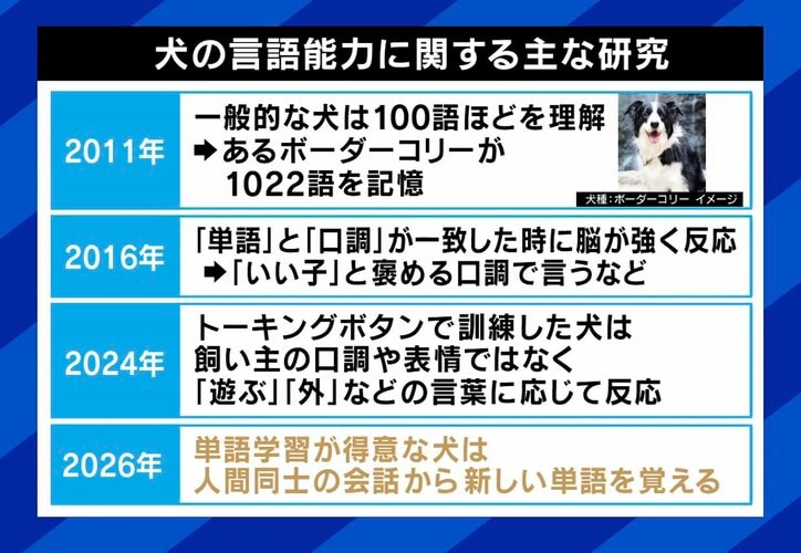 犬の言語能力に関する主な研究