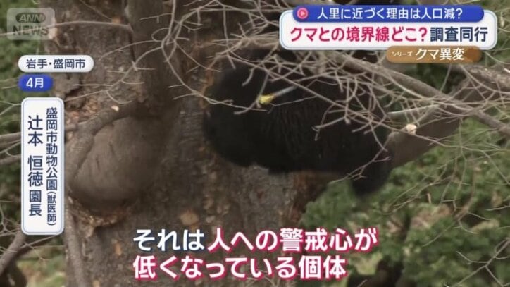 「人への警戒心が低くなっている個体」