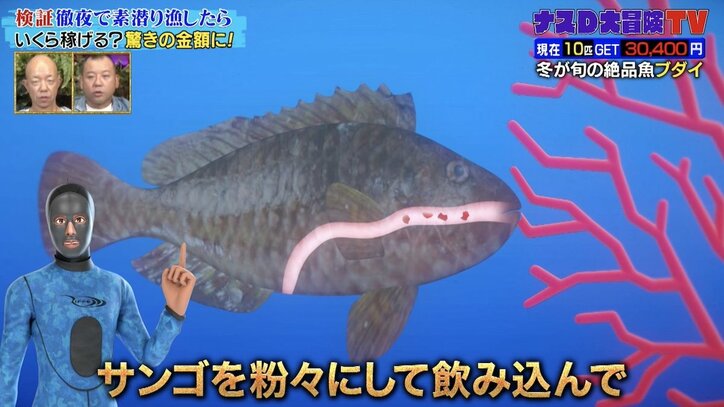 【写真・画像】【ナスD】コピーして使ってください 2枚目