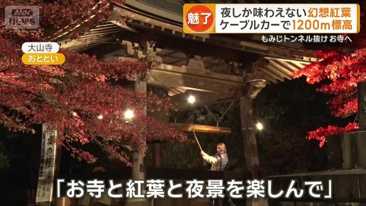「お寺と紅葉と夜景を楽しんで」