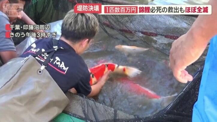 別の場所にあるいけすにピストン輸送