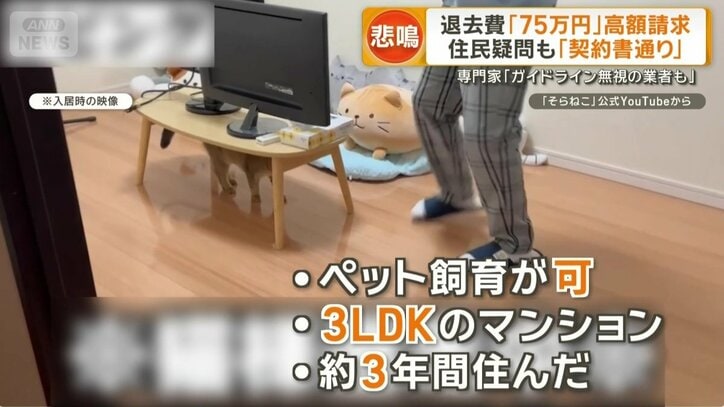 ペット飼育可で約3年間住んだ3LDKマンション