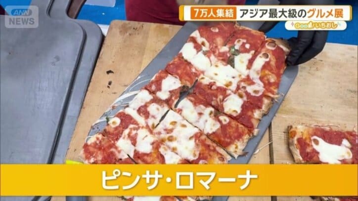 ピンサ・ロマーナ