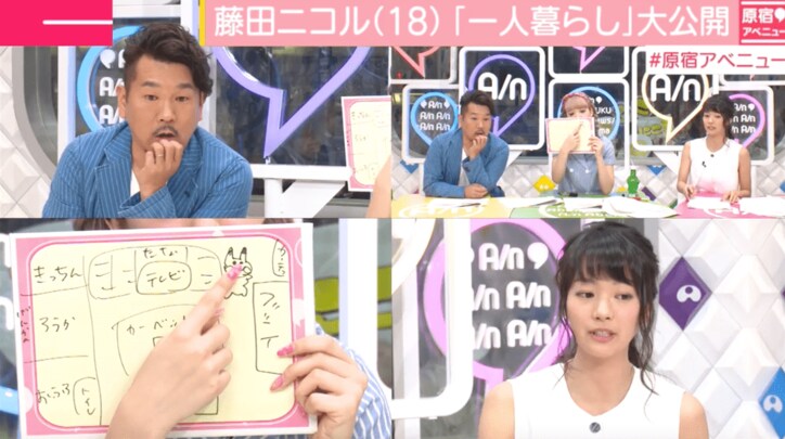 藤田ニコル 最近始めた一人暮らしの部屋はどうなっているのか?