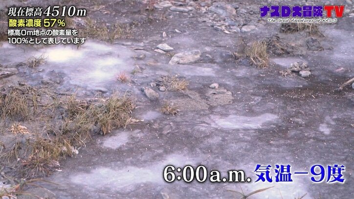 ナスD、過酷な環境下でロケを乗り切れそうなタレントは?「いるとしたら一択」