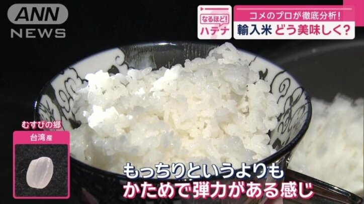 台湾産のコメ