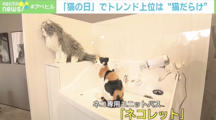 ドリカム中村正人「“猫大好き”って軽々しく言えない」家族の一員のために叶えた夢