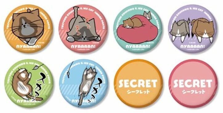 『鴻池剛と猫のぽんた ニャアアアン！』コラボカフェが登場　ぽんた＆アルフの可愛いメニューも公開