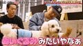 般若「“HIPHOP界一平和”な絵です」犬と戯れるAK-69に「こんな優しい顔になるんだ笑」「シュールすぎw」など反響続々