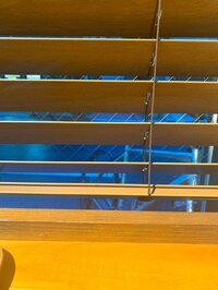 ゆってぃ（とーどーゆーた）『売ってなかった！とは言いたくない』