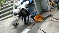 社会ニュース - “猫を盗んだ”男（54）逮捕　防カメに虐待の姿も… | 動画視聴は【Abemaビデオ(AbemaTV)】