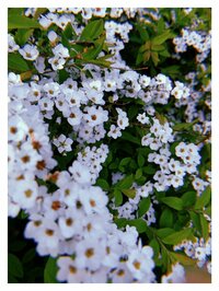 黒沢ともよ『こんなひび』