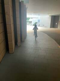 市川團十郎白猿『私を心配して』