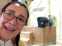 たんぽぽ白鳥久美子『うっかりバースデー』