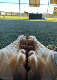 Seiko Darvish『ついていった』