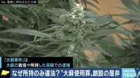 【映像】“大麻使用罪”賛成派と反対派の意見を聞く