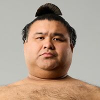 髙安