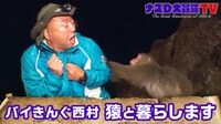 ナスD大冒険TV