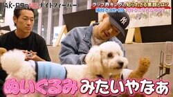 般若「“HIPHOP界一平和”な絵です」犬と戯れるAK-69に「こんな優しい顔になるんだ笑」「シュールすぎw」など反響続々