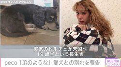 peco、実家で暮らす愛犬との別れを報告「待っていてくれたのか、偶然なのか…」